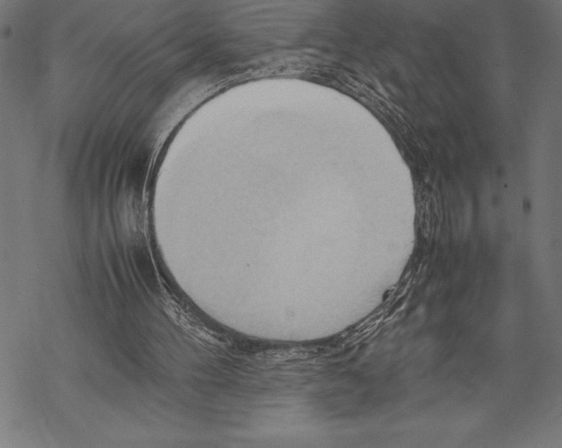 X0000067830100200605111627