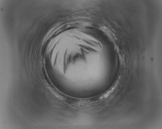 X0000067830101200605111627