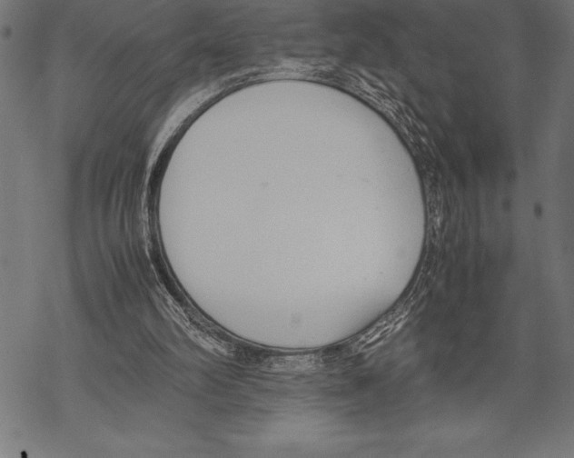 X0000067830102200605111627