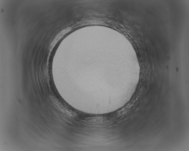 X0000067830104200605111627