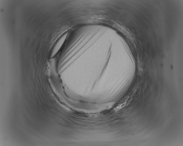 X0000067830105200605111627