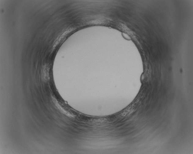 X0000067830106200605111627