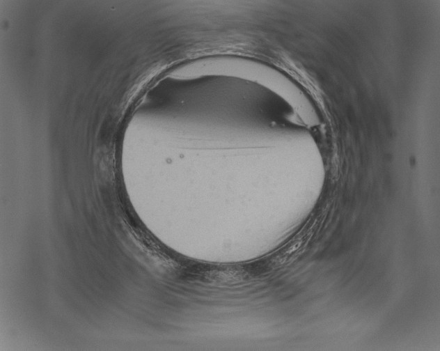 X0000067830107200605111627