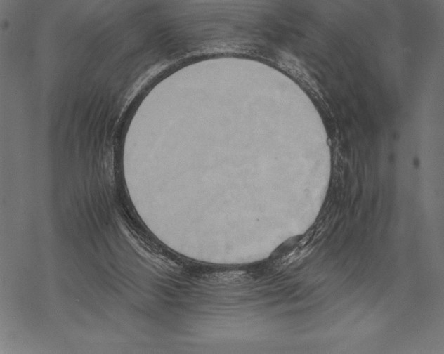 X0000067830108200605111627