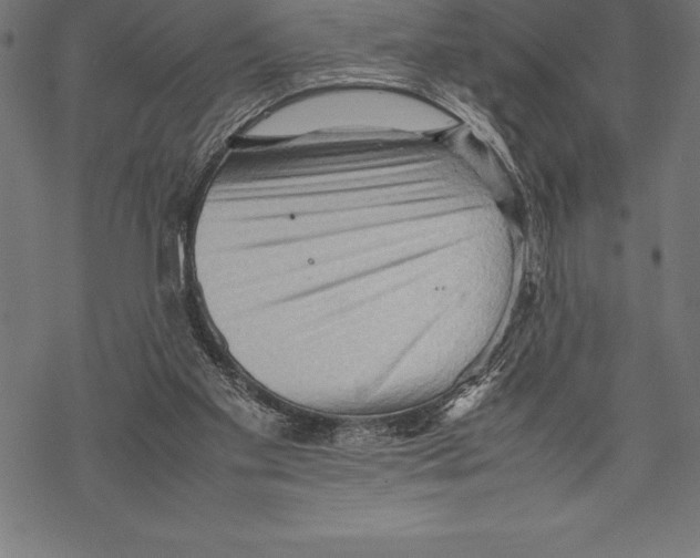 X0000067830109200605111627