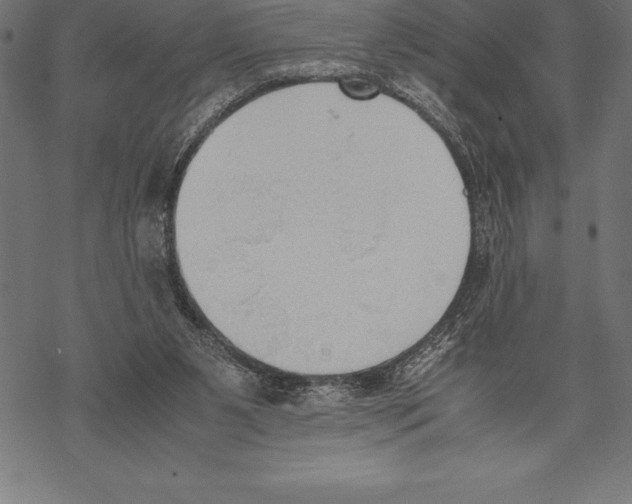 X0000067830111200605111627