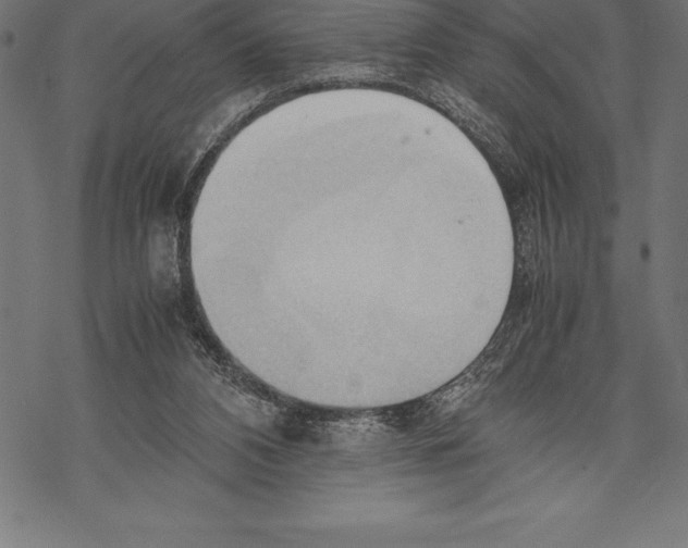 X0000067830112200605111627