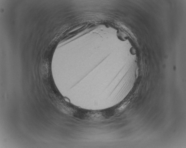 X0000067830113200605111627