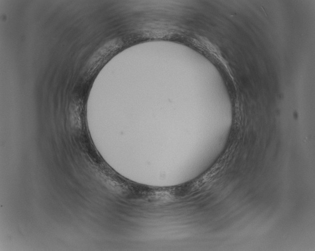 X0000067830114200605111627