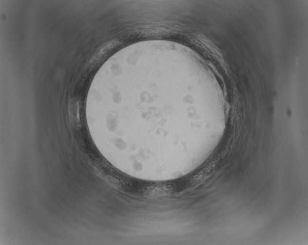 X0000067830115200605111627