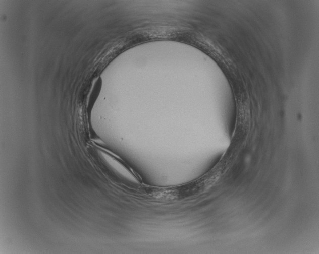 X0000067830117200605111627