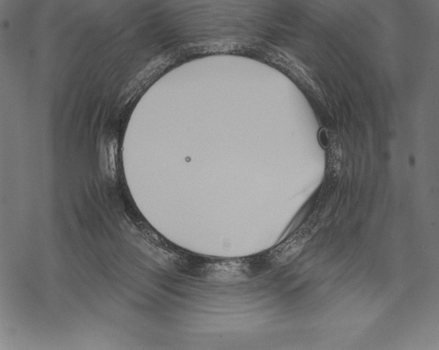 X0000067830118200605111627