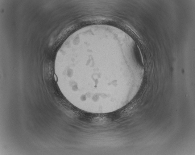 X0000067830119200605111627