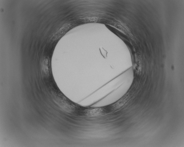 X0000067830122200605111627