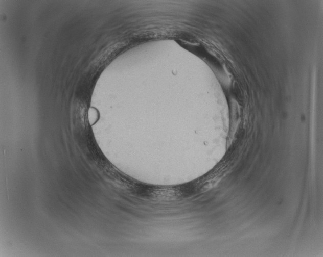 X0000067830123200605111627