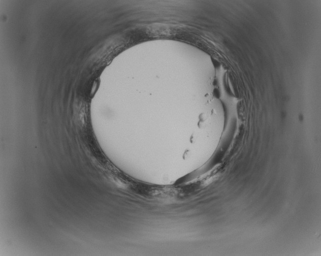 X0000067830125200605111627