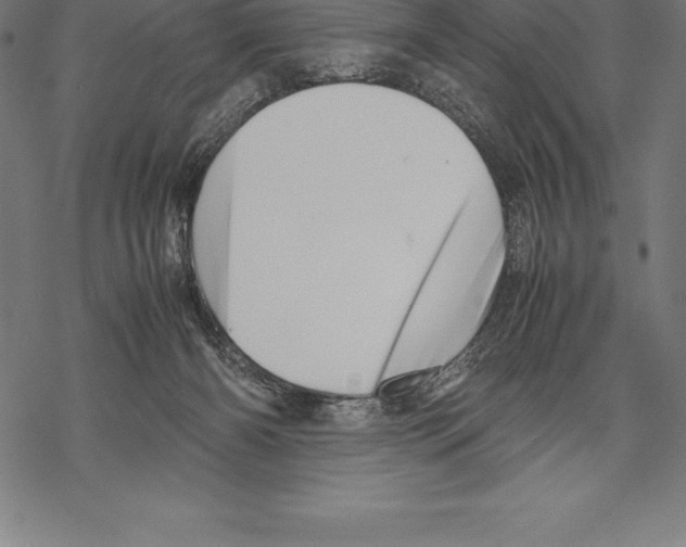 X0000067830126200605111627