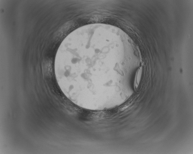 X0000067830127200605111627