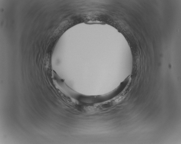 X0000067830129200605111627