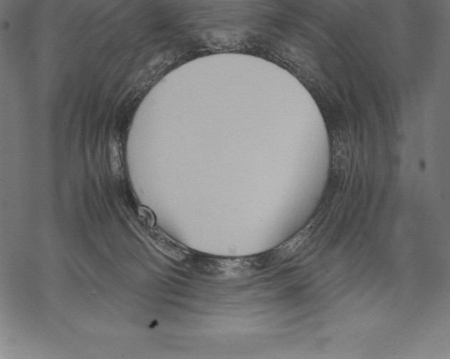 X0000067830130200605111627