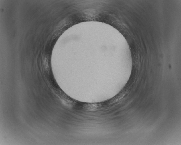 X0000067830131200605111627