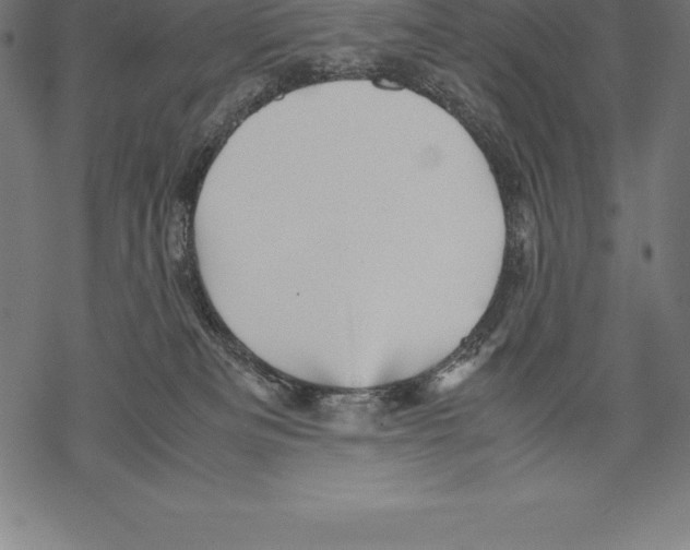 X0000067830133200605111627