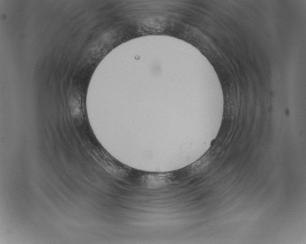 X0000067830134200605111627