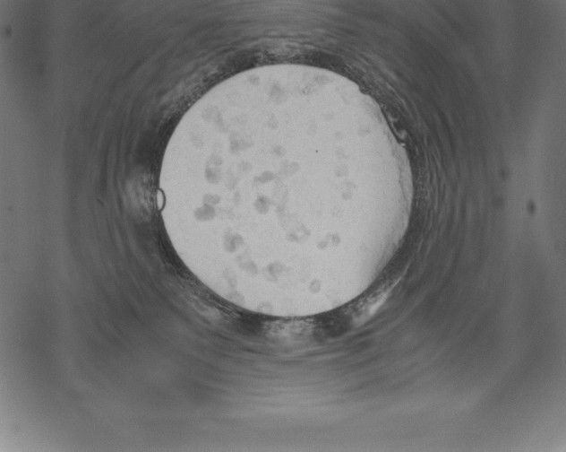 X0000067830135200605111627