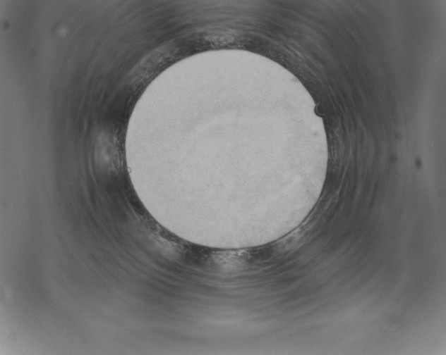 X0000067830136200605111626