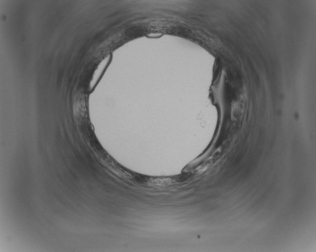 X0000067830137200605111626