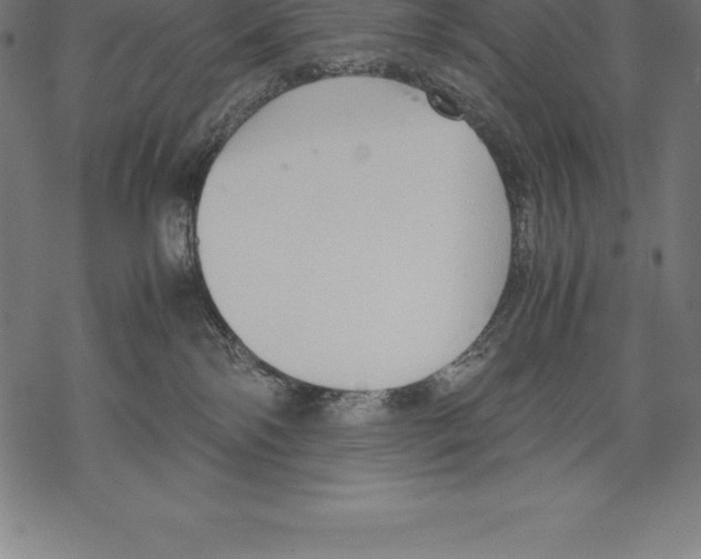 X0000067830138200605111626