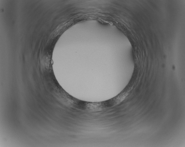 X0000067830139200605111626