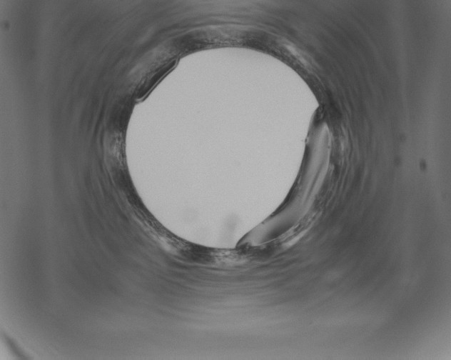 X0000067830141200605111626