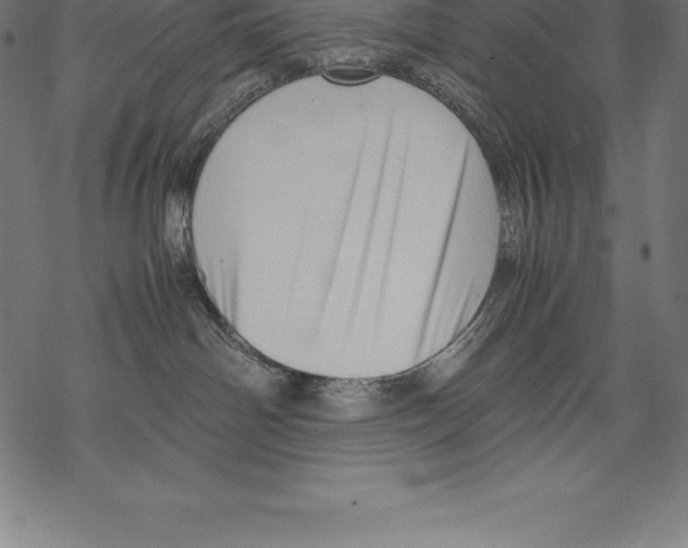 X0000067830142200605111626