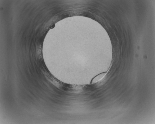 X0000067830144200605111626