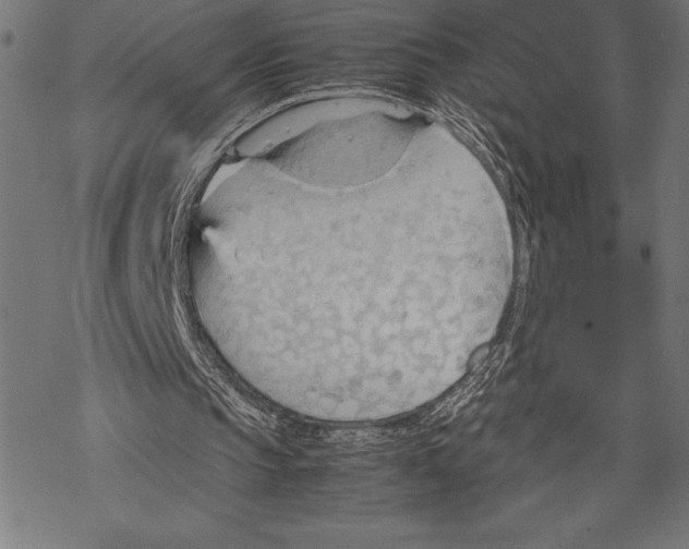 X0000067830145200605111626