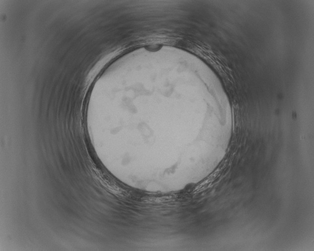 X0000067830147200605111626