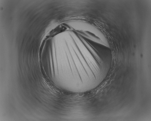 X0000067830148200605111626