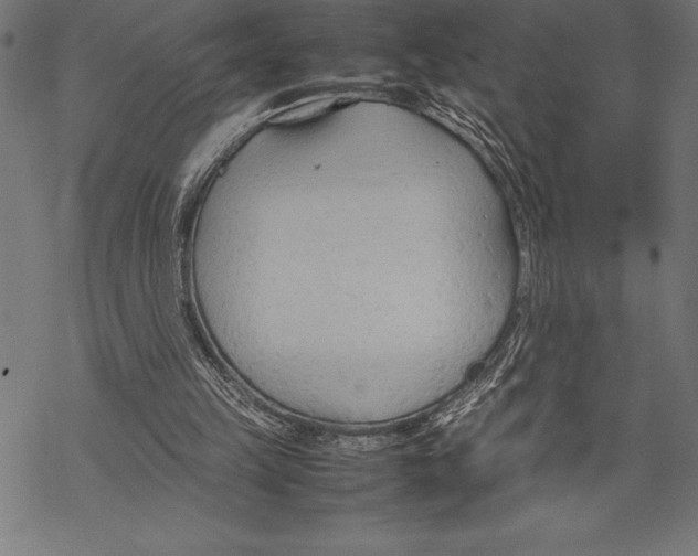 X0000067830149200605111626