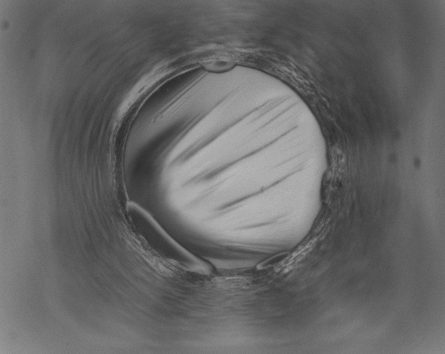 X0000067830150200605111626