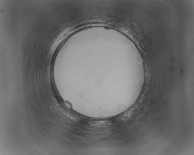 X0000067830151200605111626