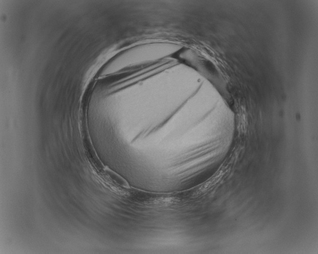 X0000067830152200605111626