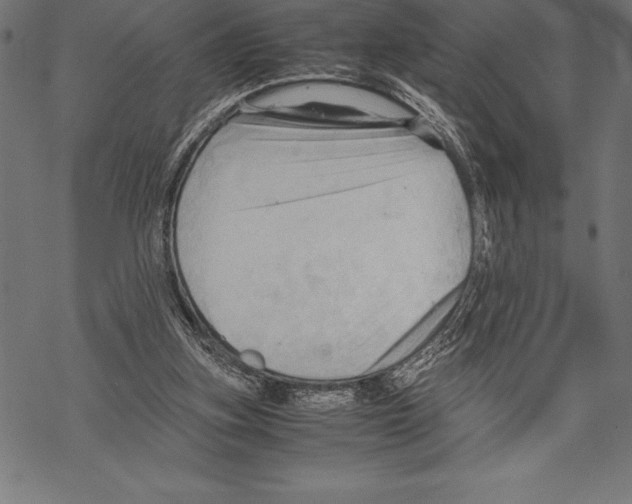 X0000067830155200605111626