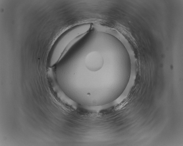 X0000067830156200605111626