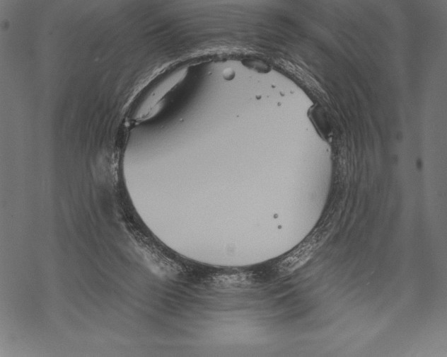 X0000067830160200605111626