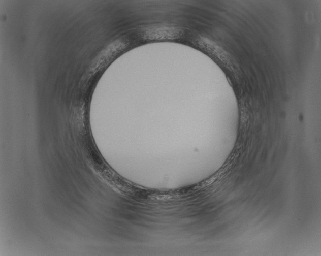 X0000067830163200605111626