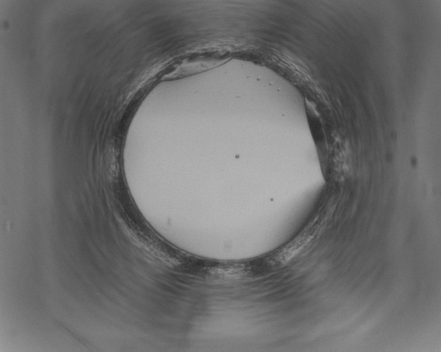 X0000067830164200605111626