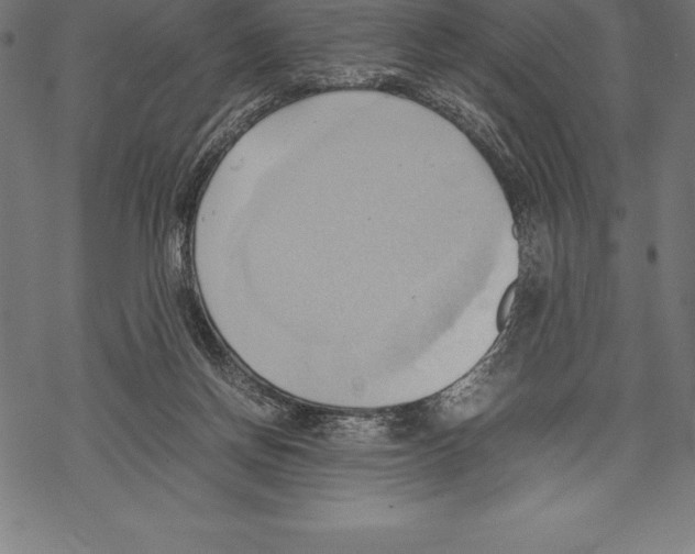 X0000067830166200605111626