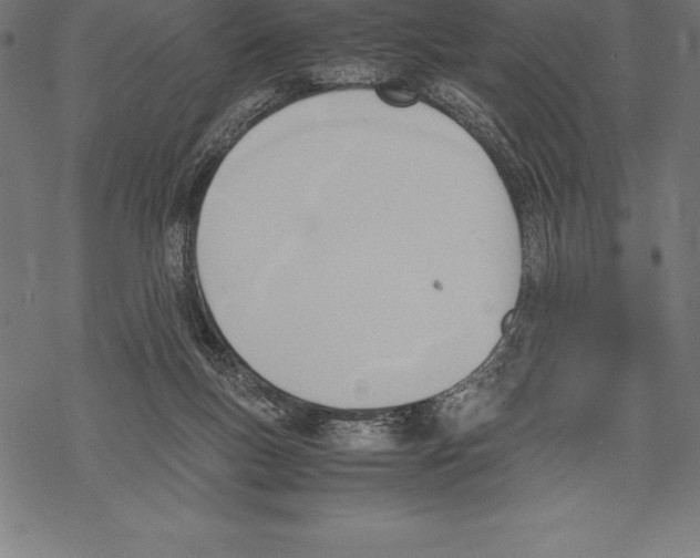 X0000067830167200605111626