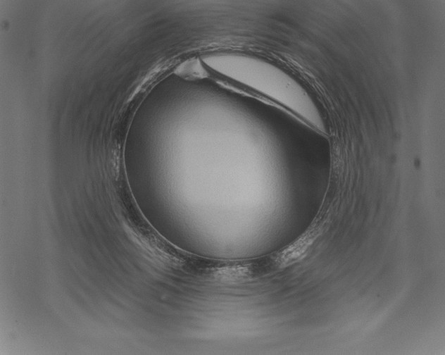 X0000067830168200605111626